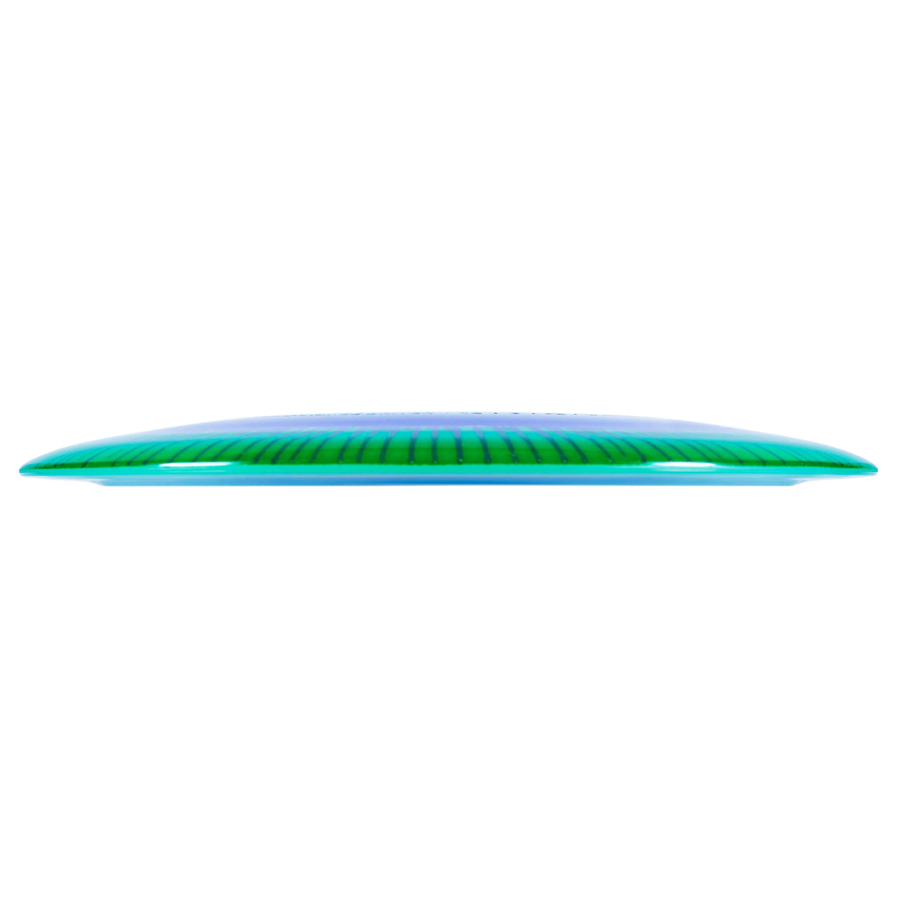 Tern Champion (I-Dye)